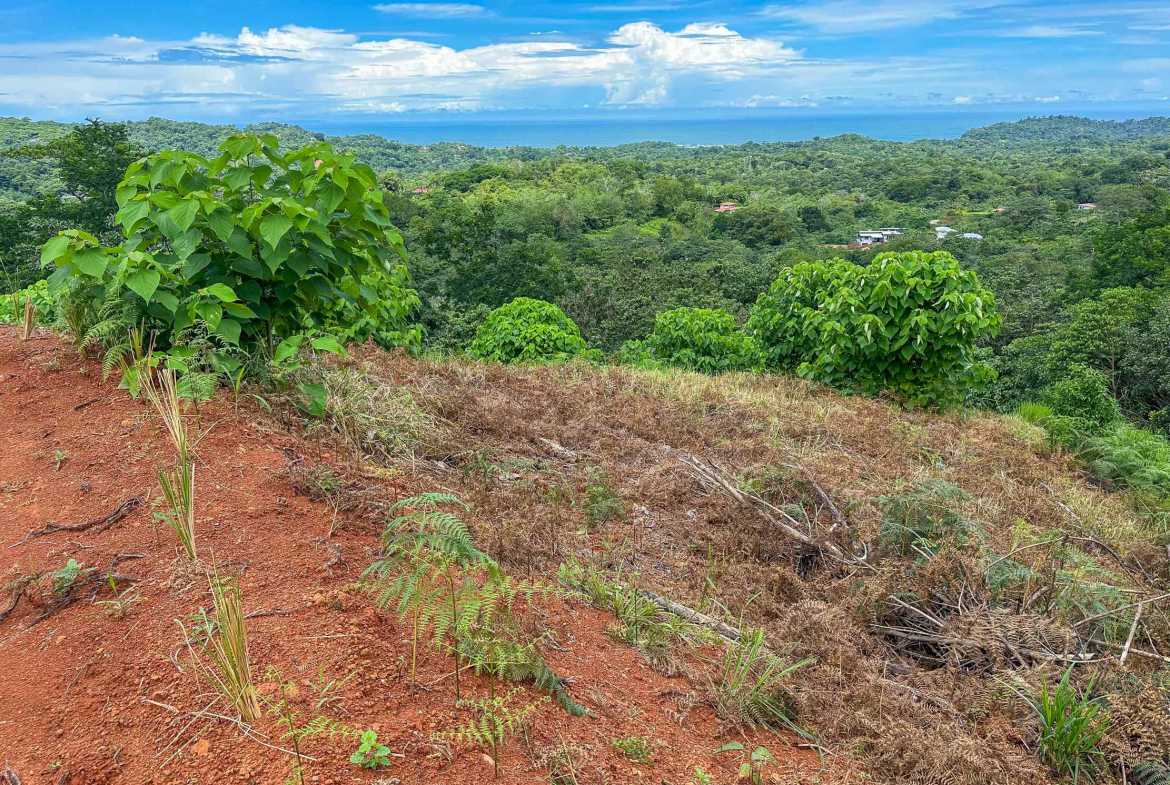 5-acre lot in Ojochal, Costa Rica – photo 20 of 30