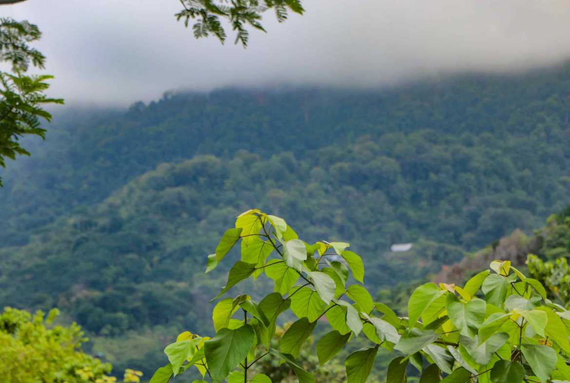 5-acre lot in Ojochal, Costa Rica – photo 22 of 30