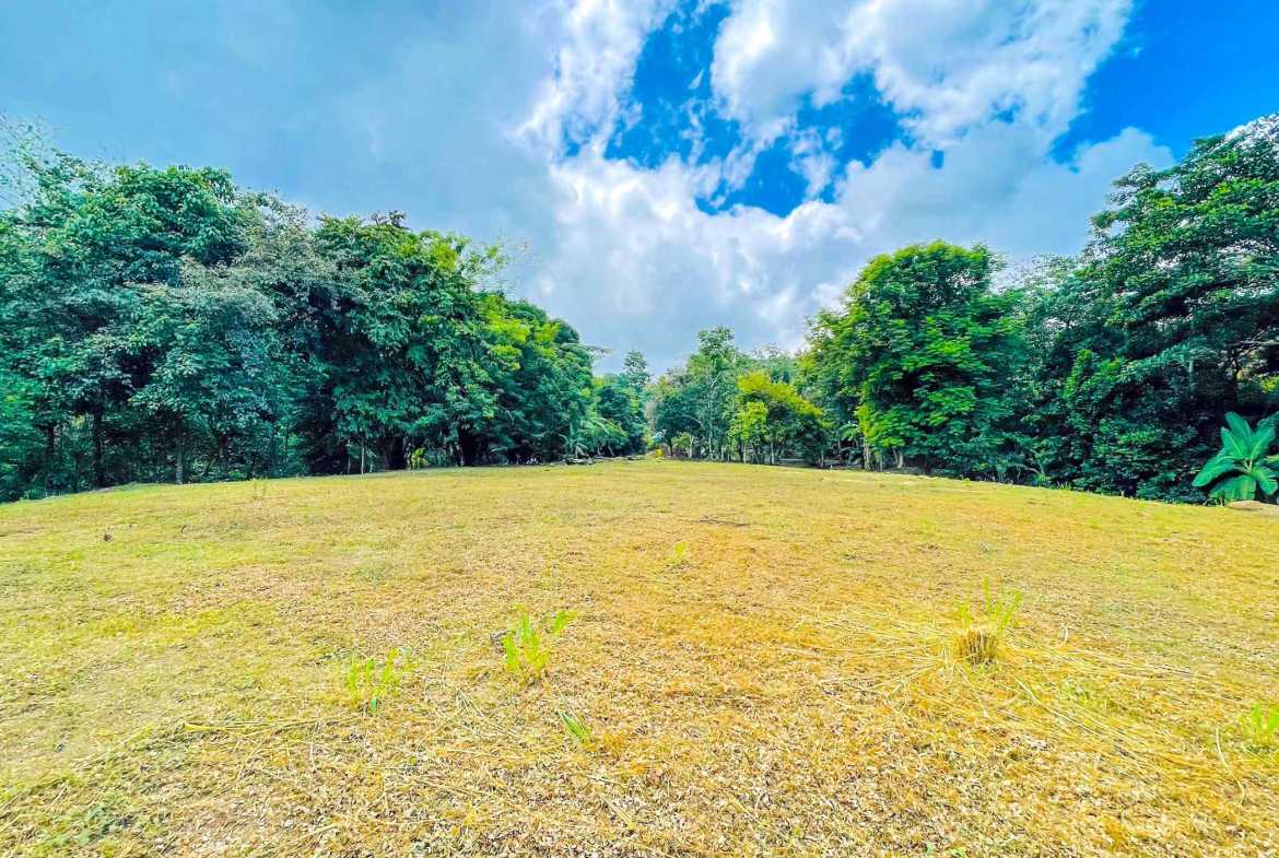 3.11-acre farm in Ojochal, Costa Rica – photo 1 of 21