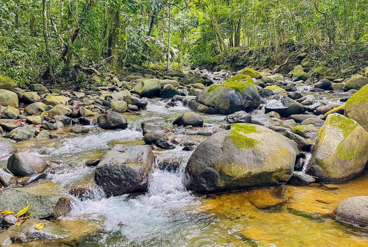 3.11-acre farm in Ojochal, Costa Rica – photo 2 of 21