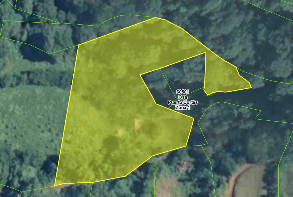 3.11-acre farm in Ojochal, Costa Rica – photo 4 of 21