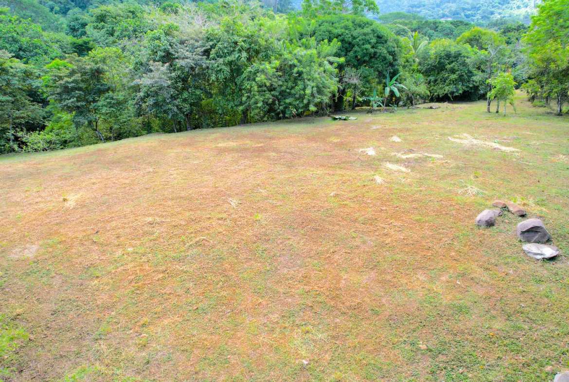 3.11-acre farm in Ojochal, Costa Rica – photo 5 of 21