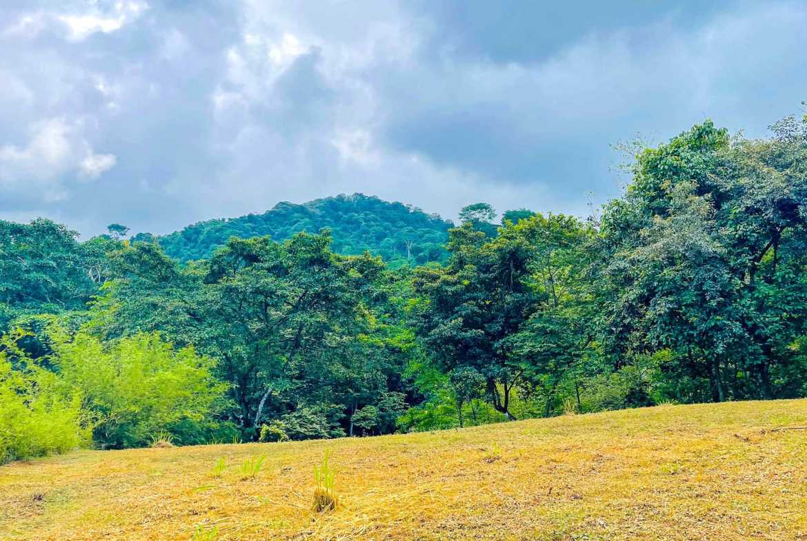 3.11-acre farm in Ojochal, Costa Rica – photo 6 of 21