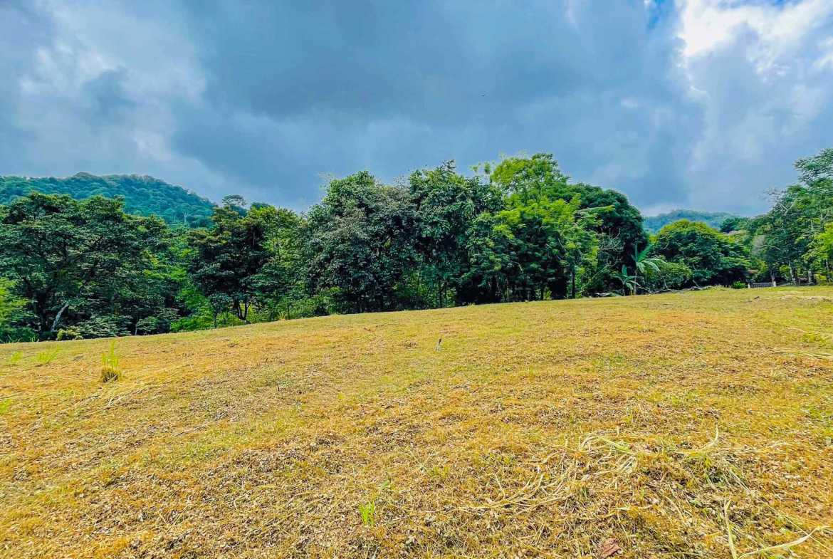 3.11-acre farm in Ojochal, Costa Rica – photo 7 of 21