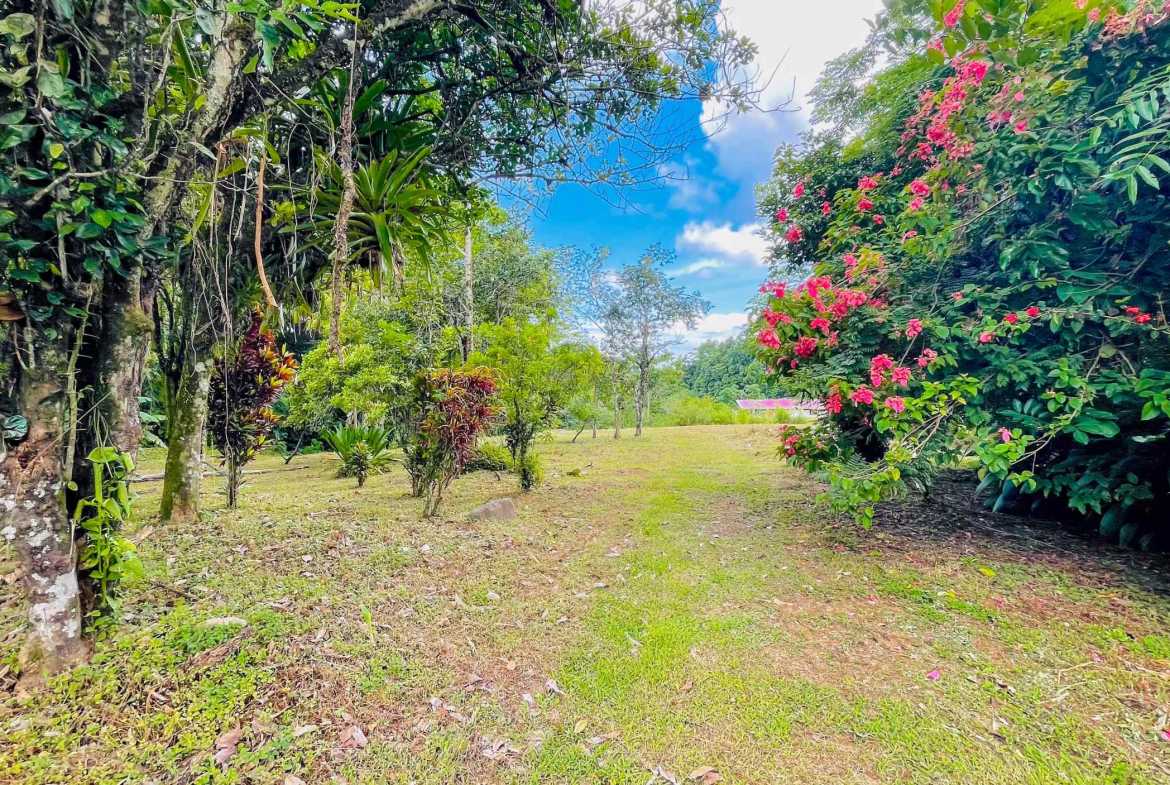 3.11-acre farm in Ojochal, Costa Rica – photo 8 of 21