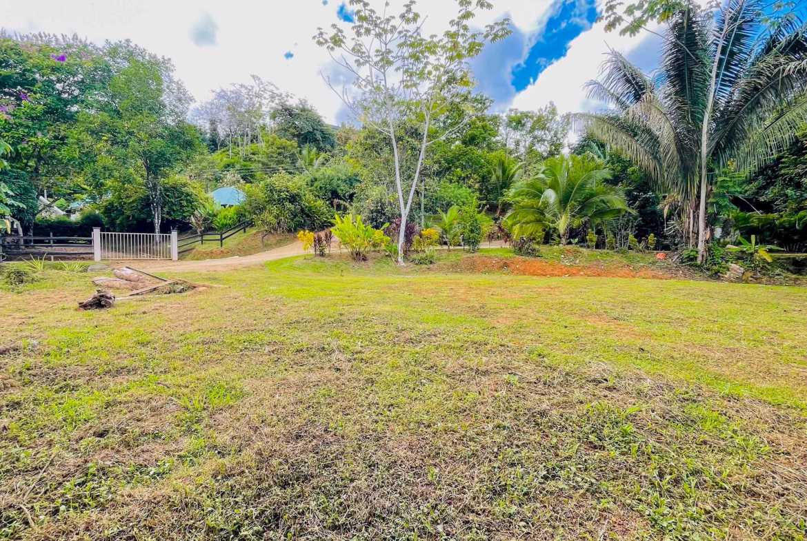 3.11-acre farm in Ojochal, Costa Rica – photo 9 of 21