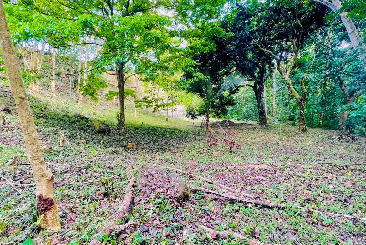 3.11-acre farm in Ojochal, Costa Rica – photo 12 of 21