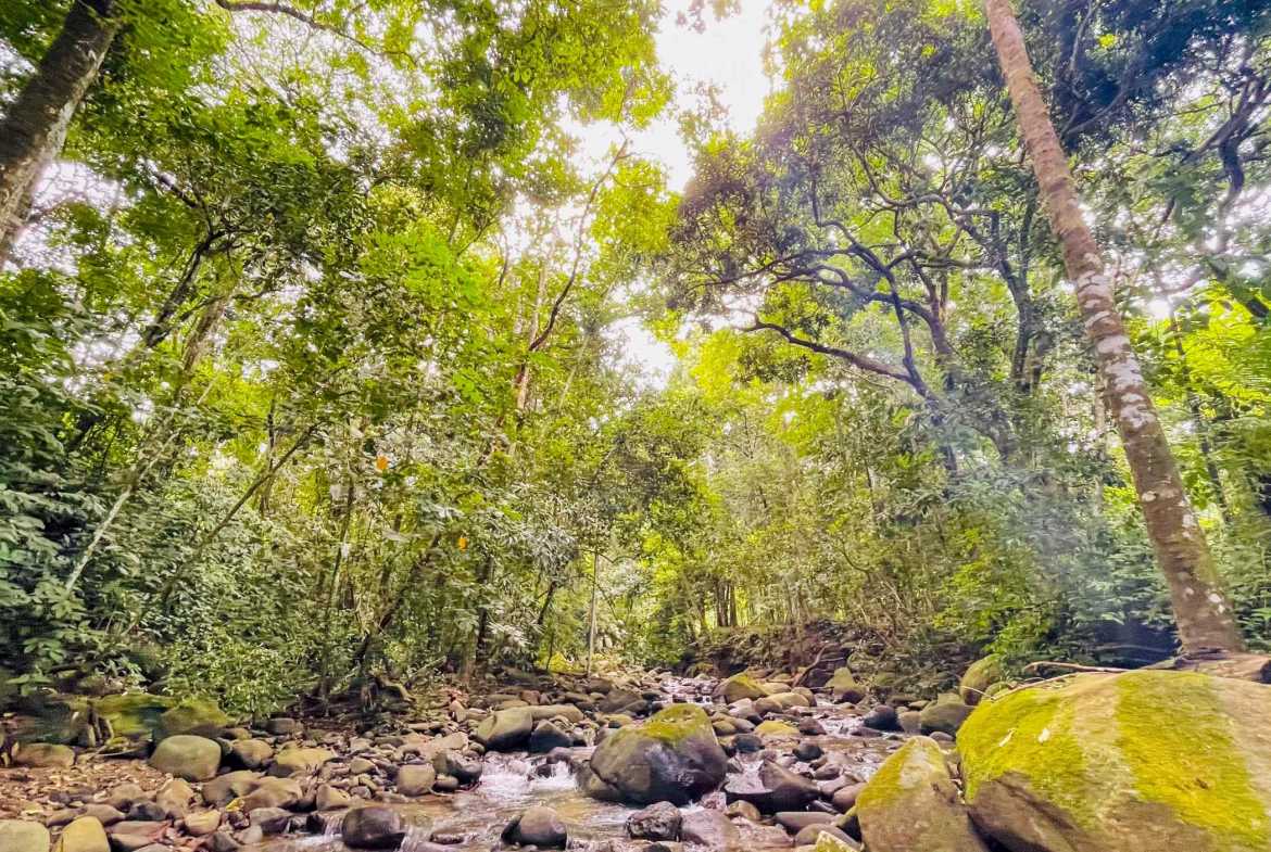 3.11-acre farm in Ojochal, Costa Rica – photo 19 of 21
