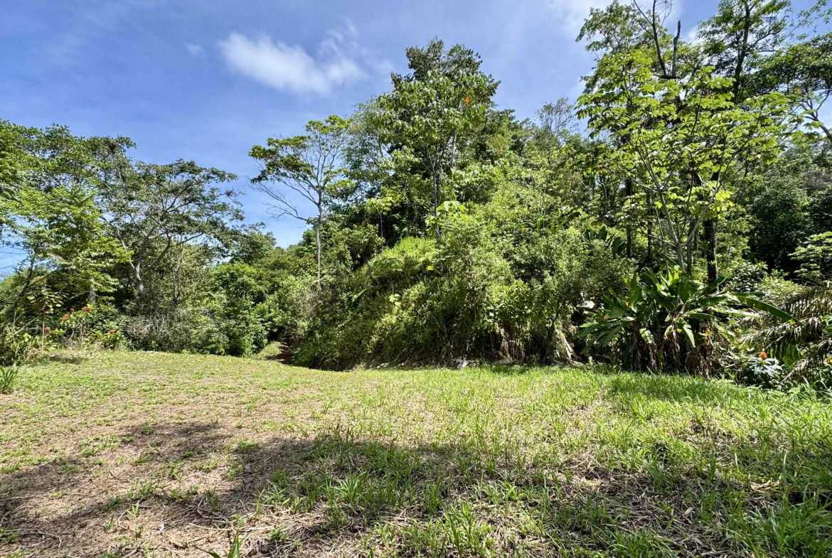Ocean View 3+ Acre Building Lot, photo 5 of 24