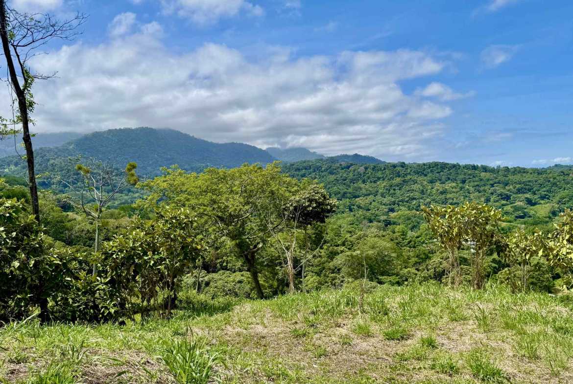 Ocean View 3+ Acre Building Lot, photo 8 of 24