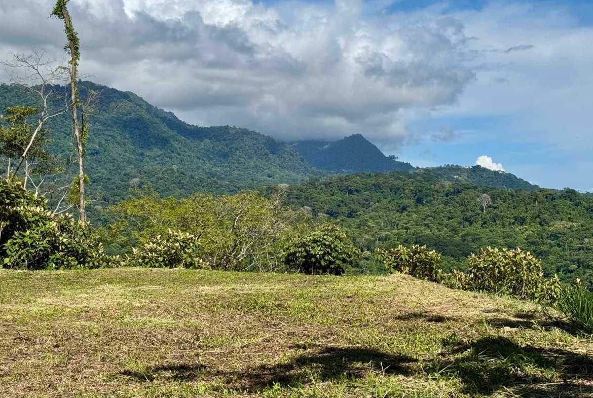 Ocean View 3+ Acre Building Lot, photo 12 of 24