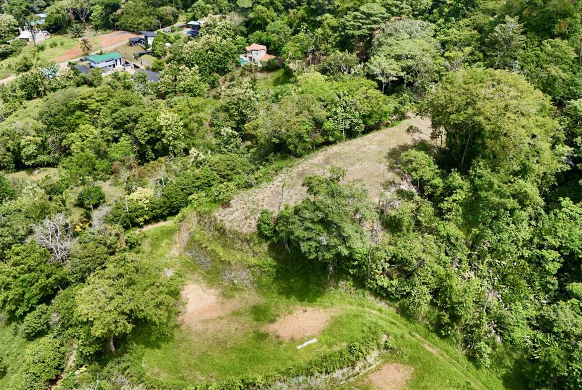 Ocean View 3+ Acre Building Lot, photo 15 of 24