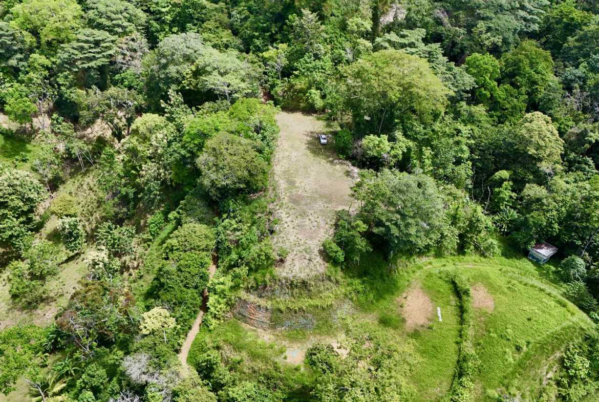 Ocean View 3+ Acre Building Lot, photo 16 of 24