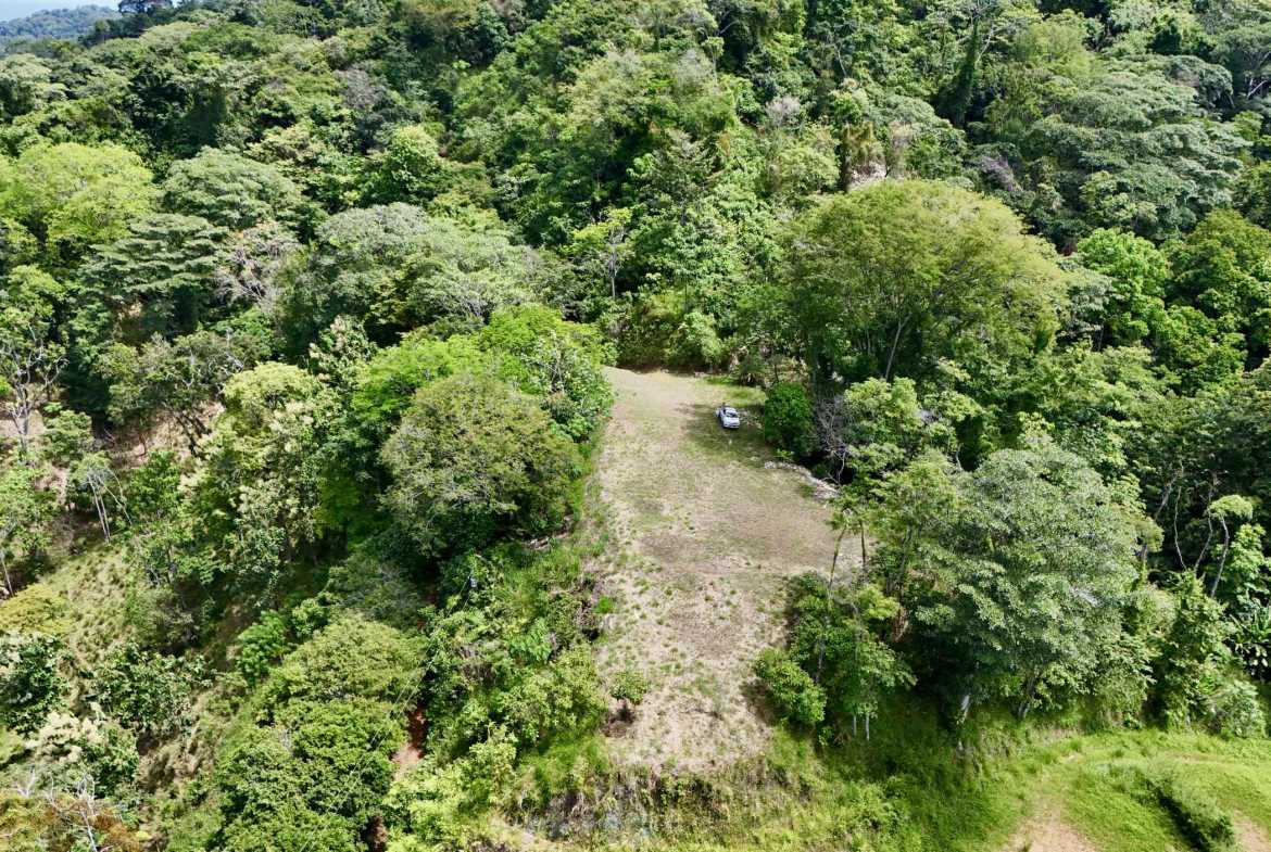 Ocean View 3+ Acre Building Lot, photo 17 of 24