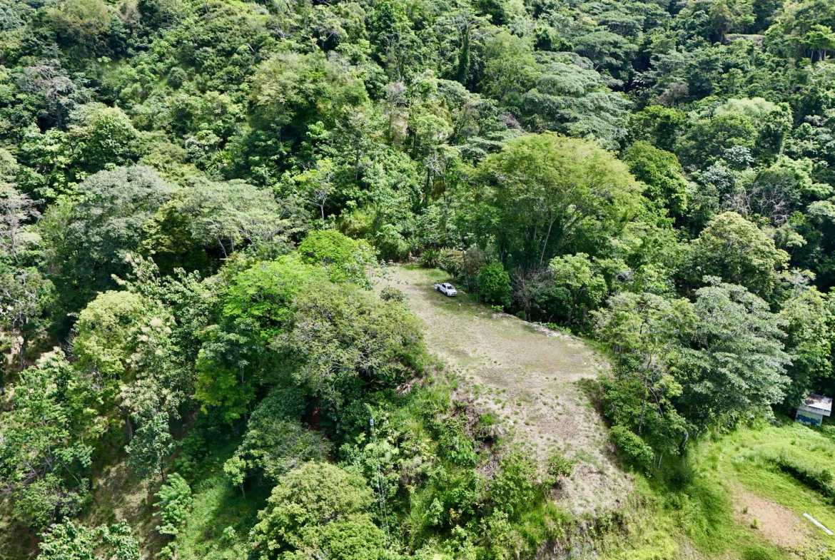 Ocean View 3+ Acre Building Lot, photo 18 of 24