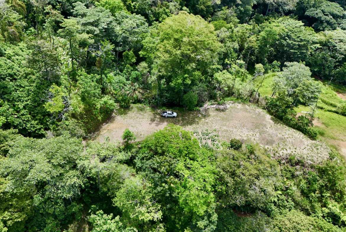 Ocean View 3+ Acre Building Lot, photo 19 of 24