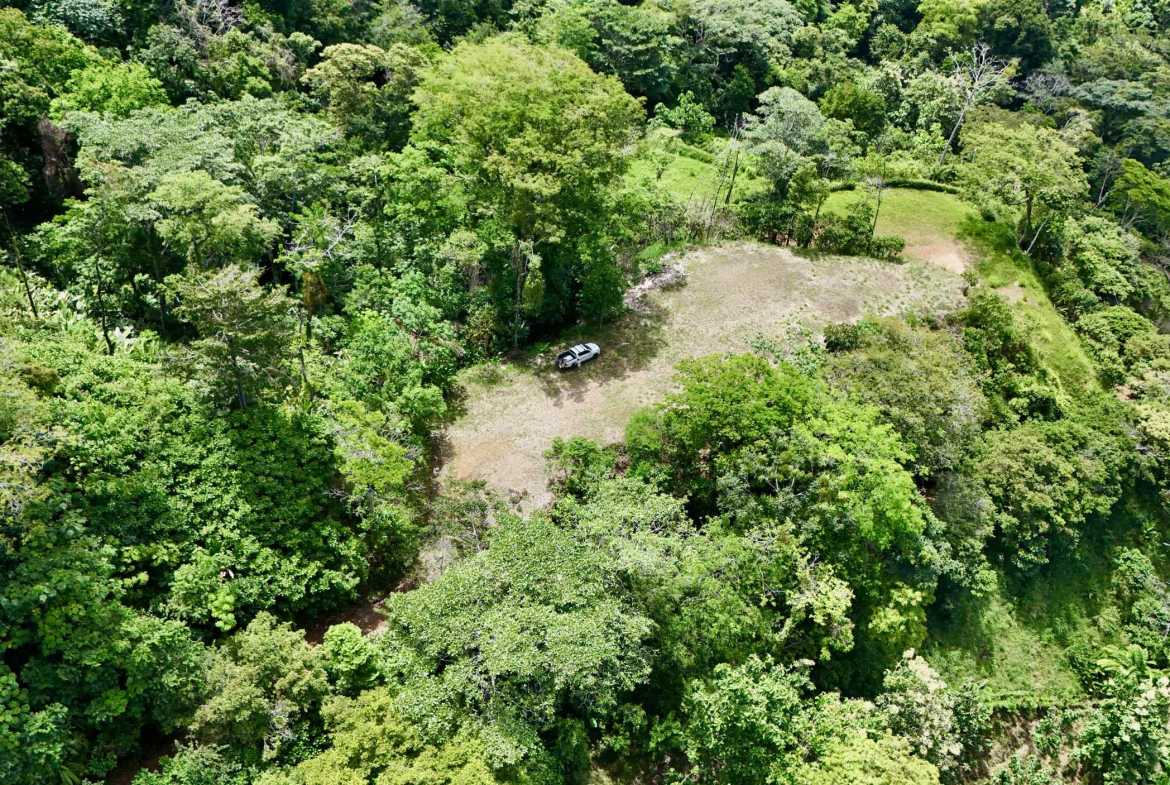 Ocean View 3+ Acre Building Lot, photo 20 of 24