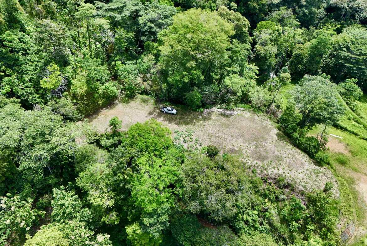 Ocean View 3+ Acre Building Lot, photo 21 of 24