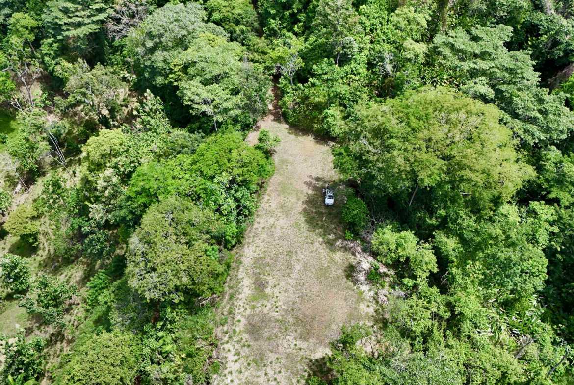 Ocean View 3+ Acre Building Lot, photo 22 of 24