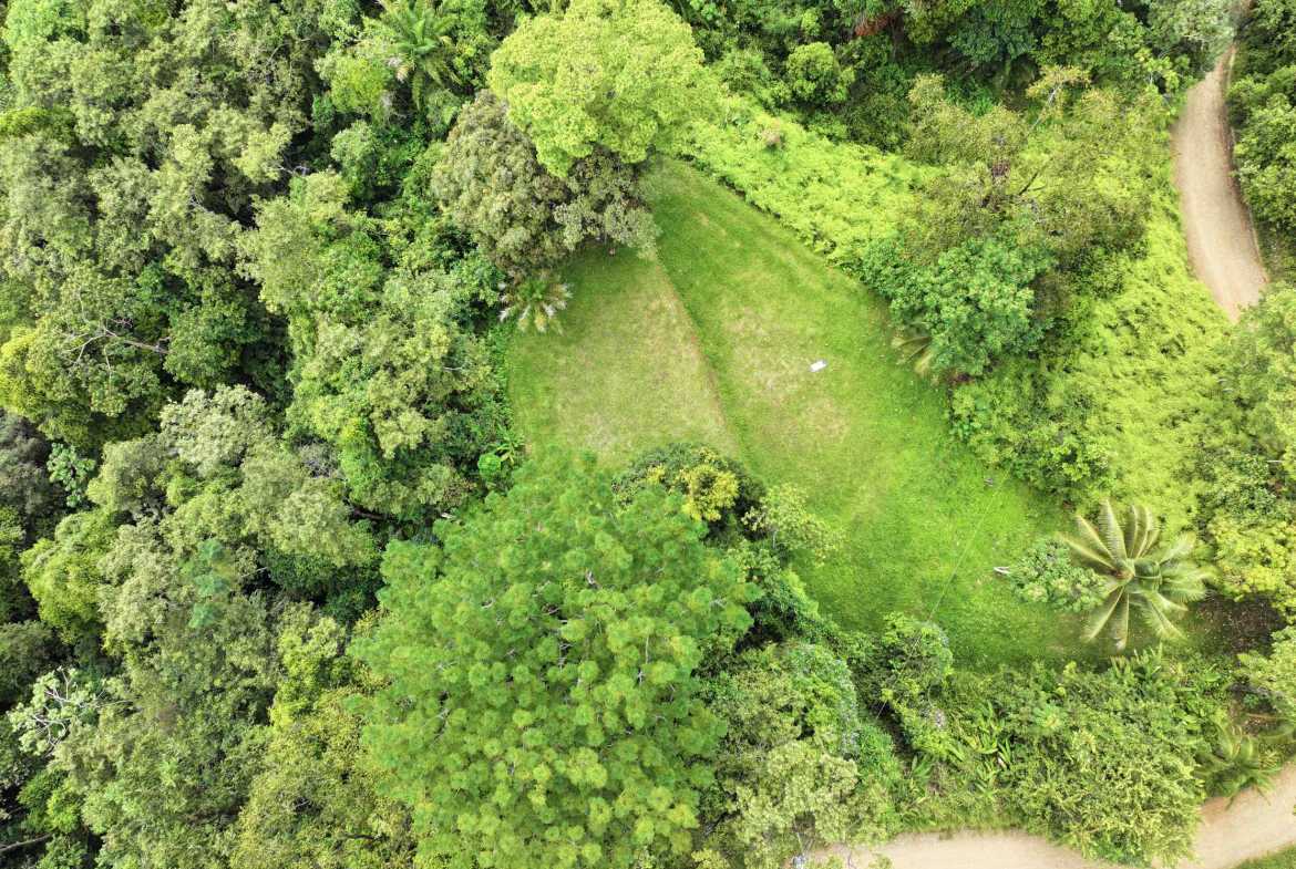 Premier Whale’s Tail Ocean View 3+ Acre Building Lot with Legal Water, photo 10 of 16