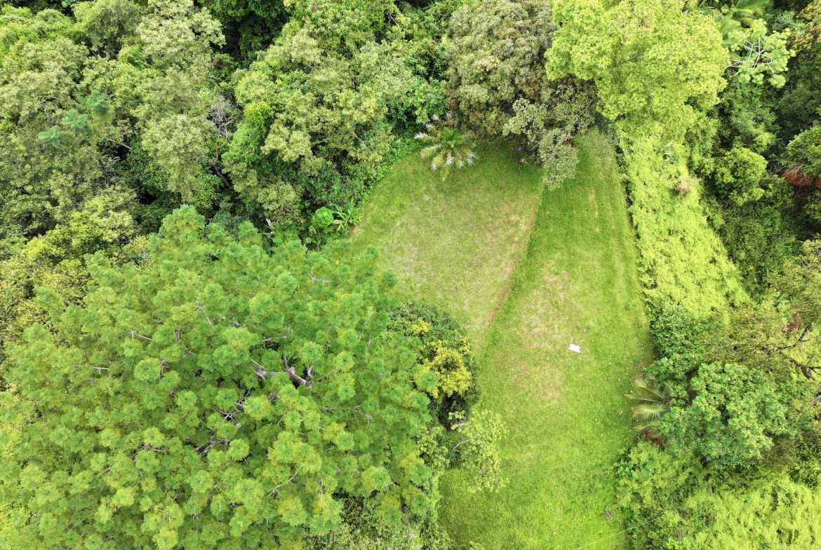 Premier Whale’s Tail Ocean View 3+ Acre Building Lot with Legal Water, photo 11 of 16