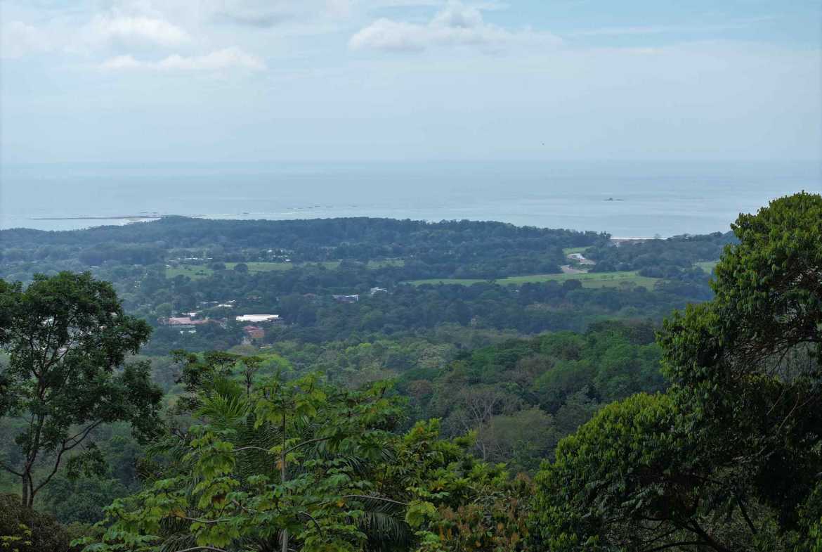 Premier Whale’s Tail Ocean View 3+ Acre Building Lot with Legal Water, photo 12 of 16