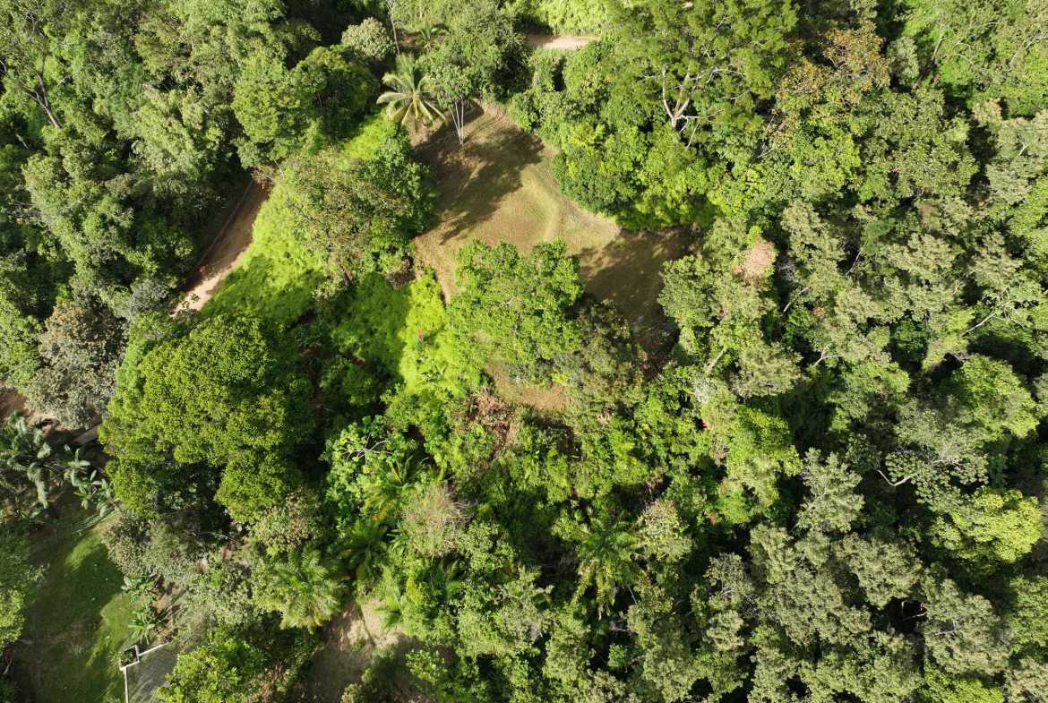 Premier Whale’s Tail Ocean View 3+ Acre Building Lot with Legal Water, photo 13 of 16