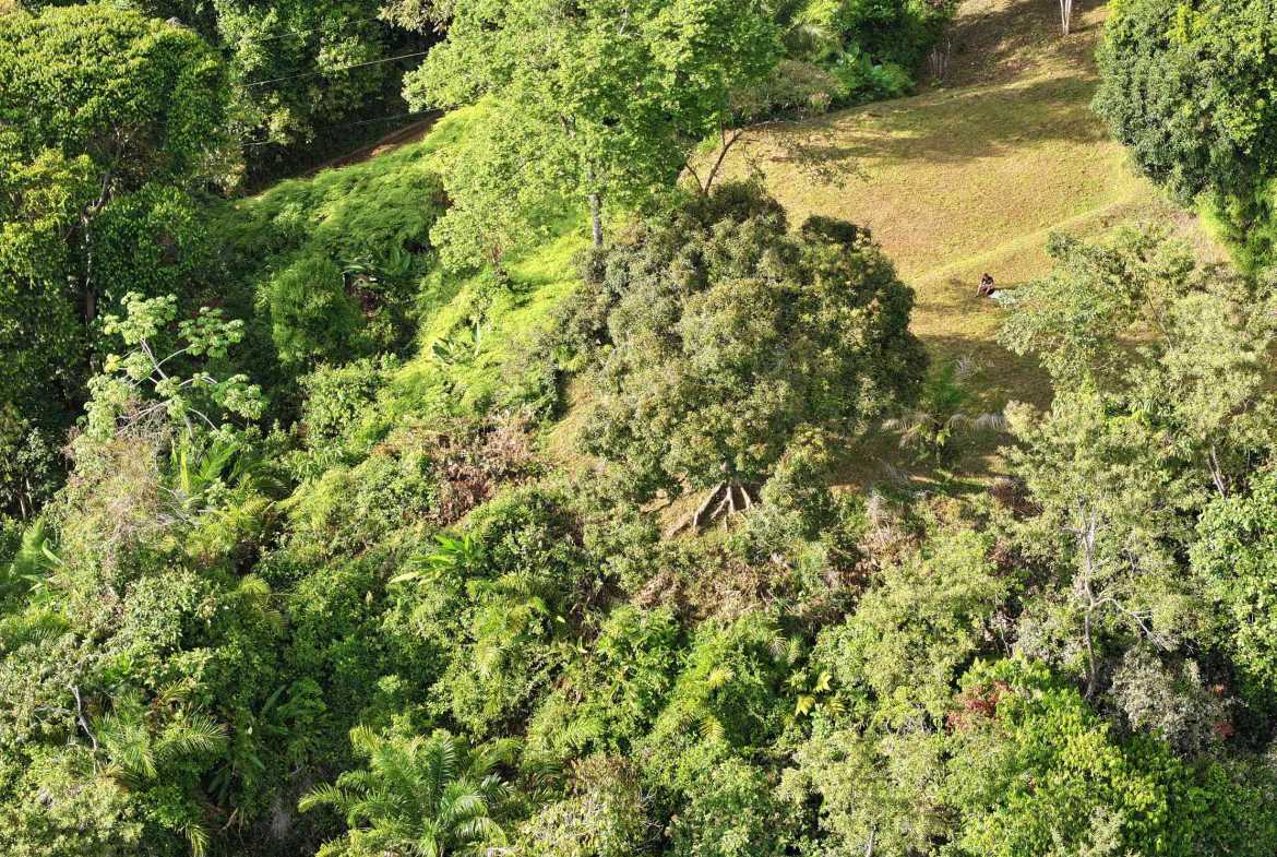 Premier Whale’s Tail Ocean View 3+ Acre Building Lot with Legal Water, photo 14 of 16