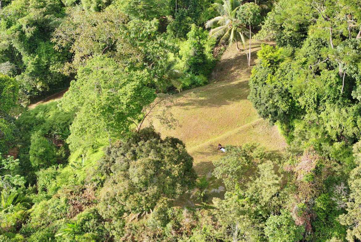 Premier Whale’s Tail Ocean View 3+ Acre Building Lot with Legal Water, photo 15 of 16