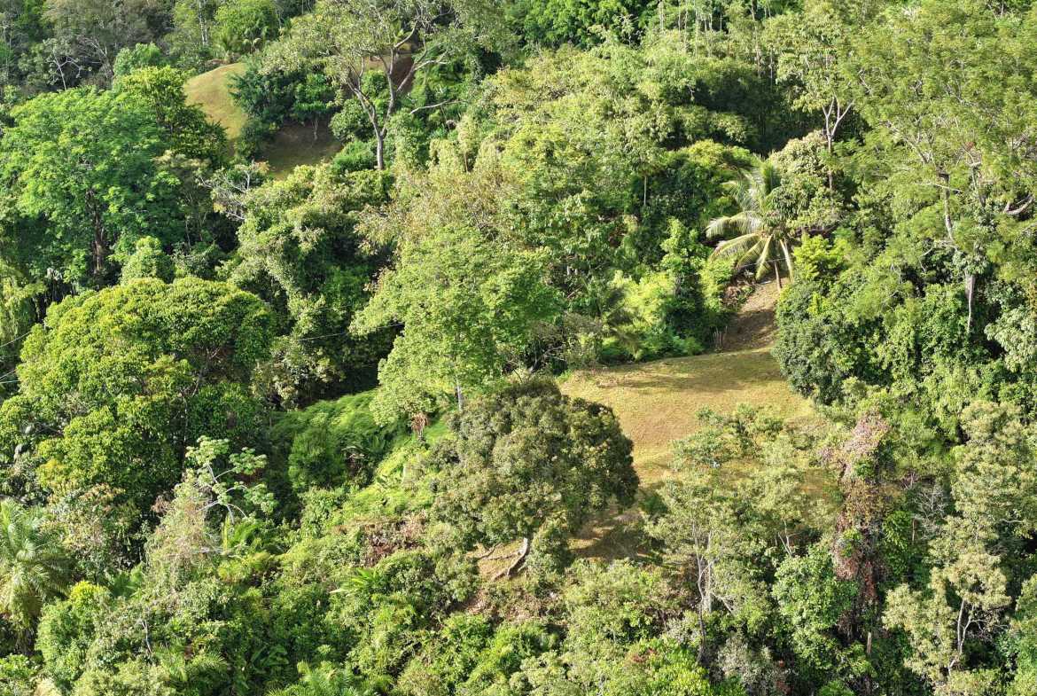 Premier Whale’s Tail Ocean View 3+ Acre Building Lot with Legal Water, photo 16 of 16