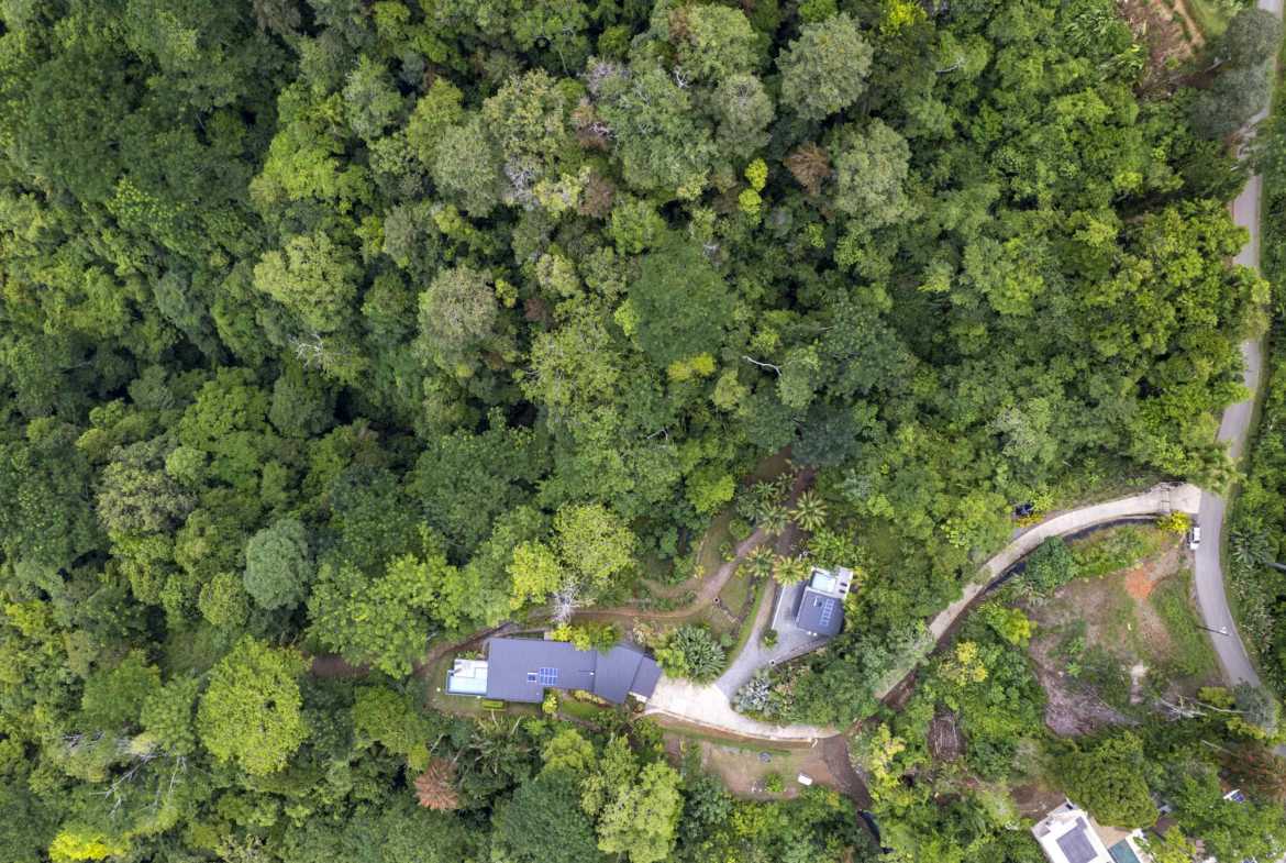 Ocean View 16+ Acre Estate, photo 11 of 24