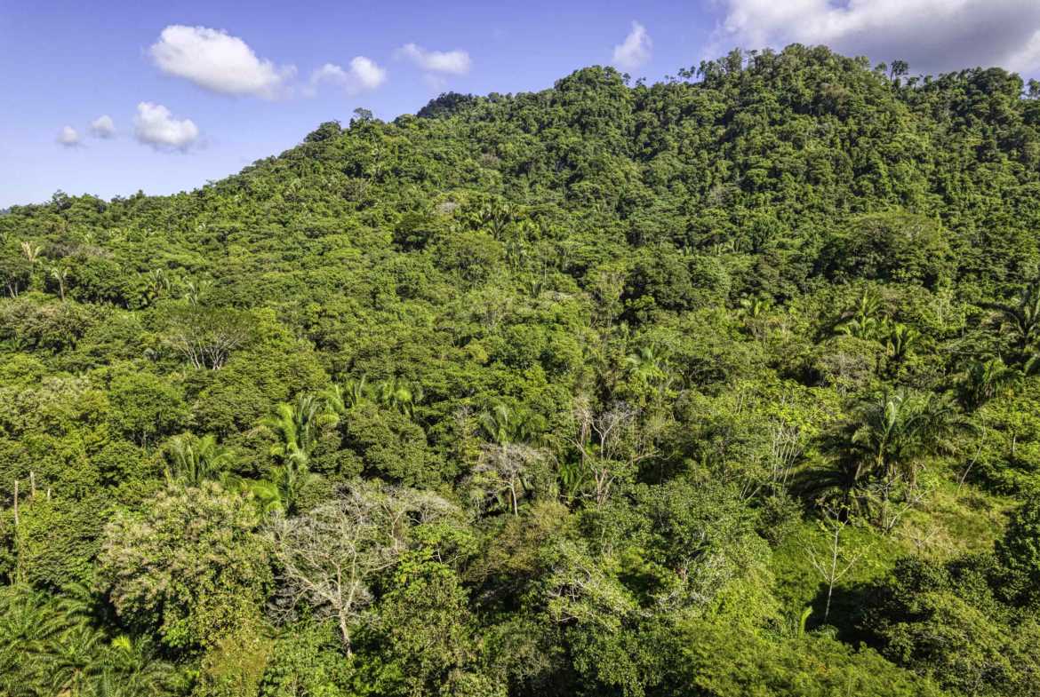 Spectacular Ocean View 17+ Acre Building Lot with Legal Water in Dominical Costa Rica