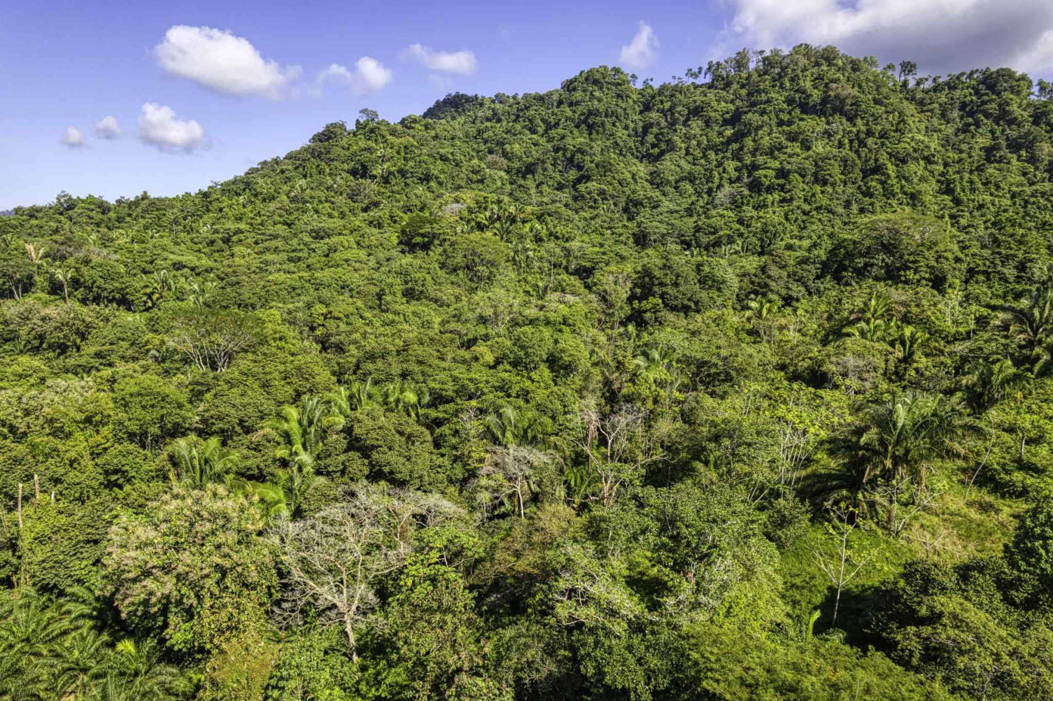 74944-1 Spectacular Ocean View 17+ Acre Building Lot with Legal Water in Dominical Costa Rica