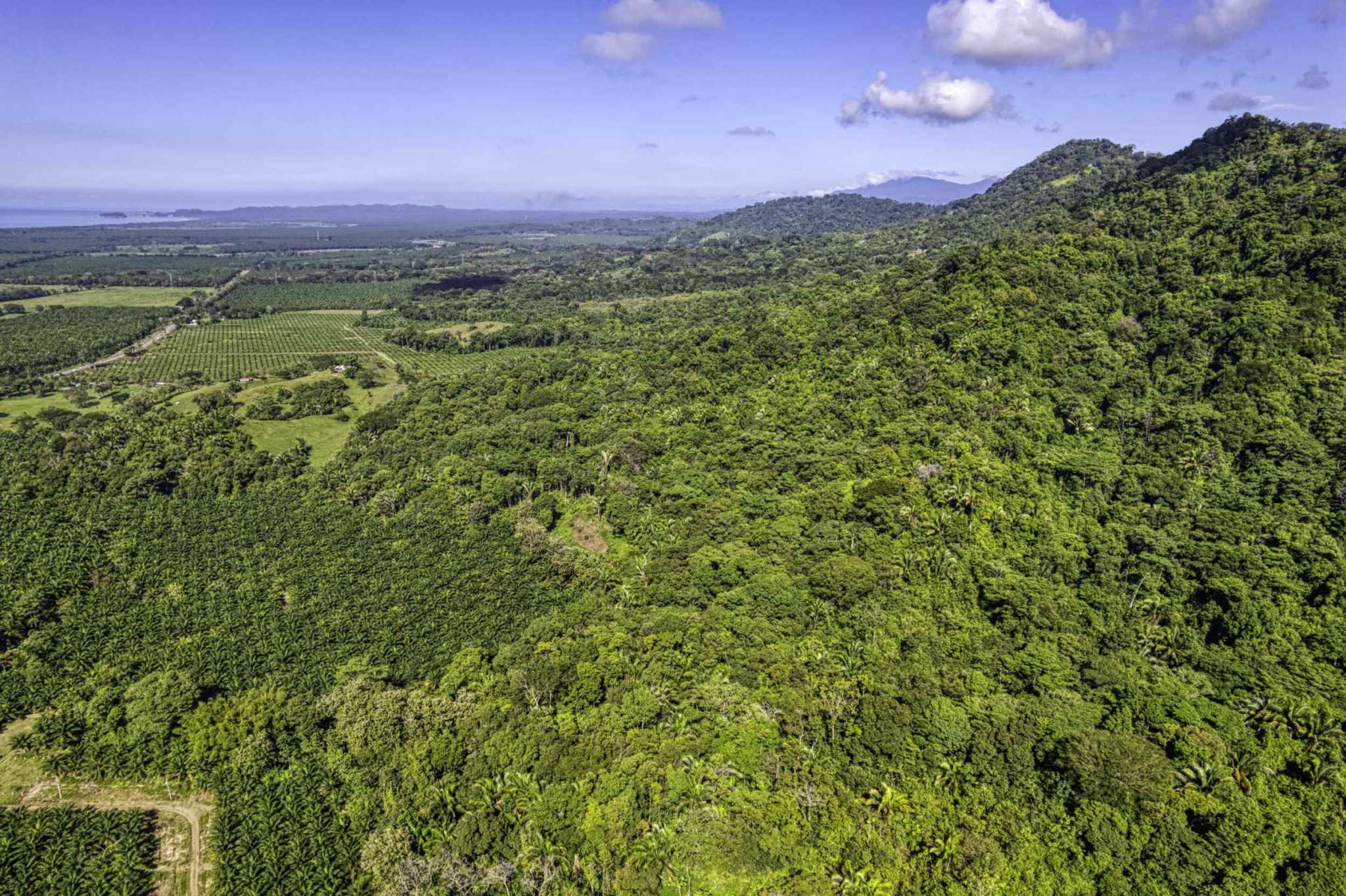 74944-3 Spectacular Ocean View 17+ Acre Building Lot with Legal Water in Dominical Costa Rica