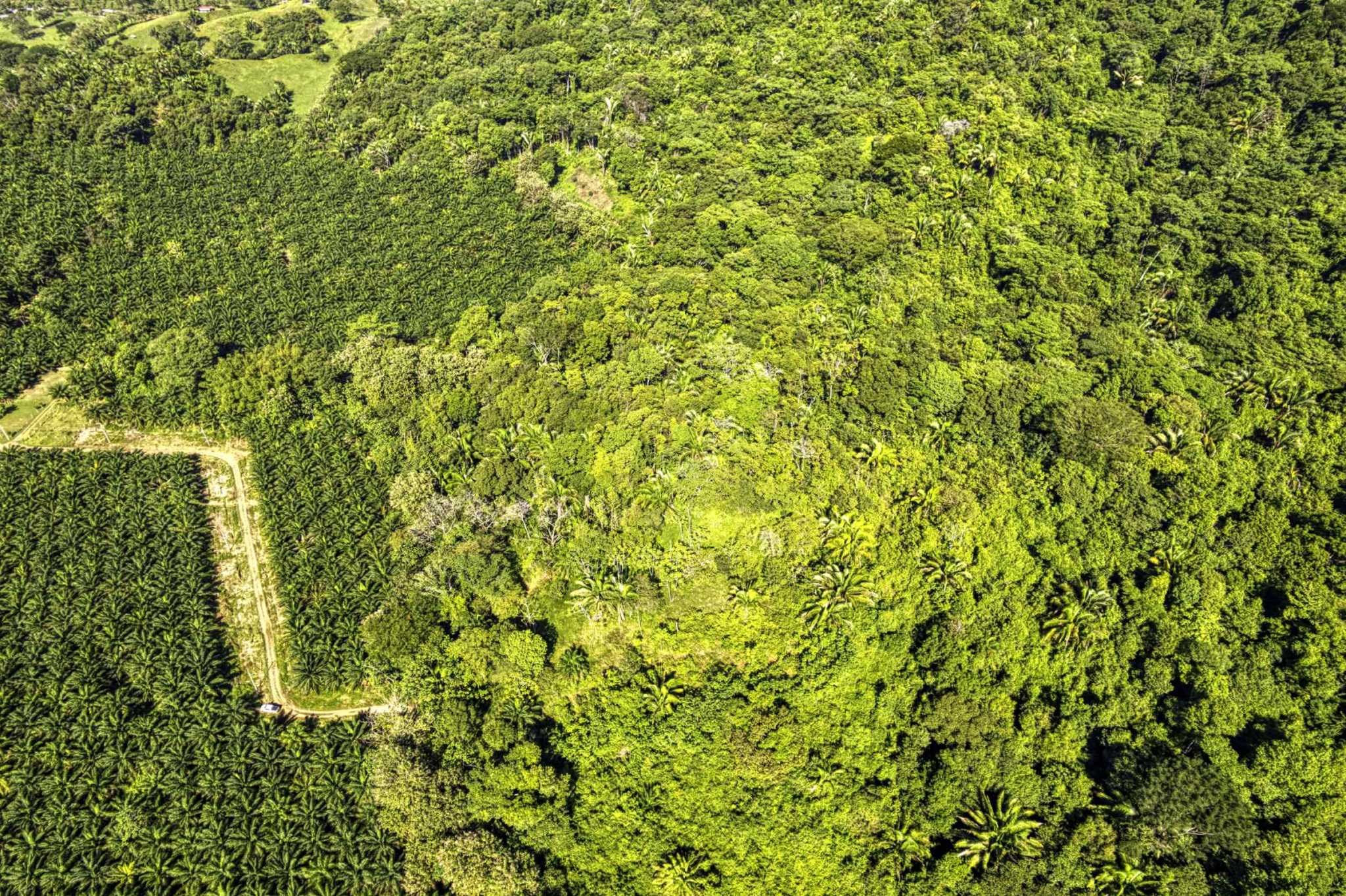 74944-4 Spectacular Ocean View 17+ Acre Building Lot with Legal Water in Dominical Costa Rica