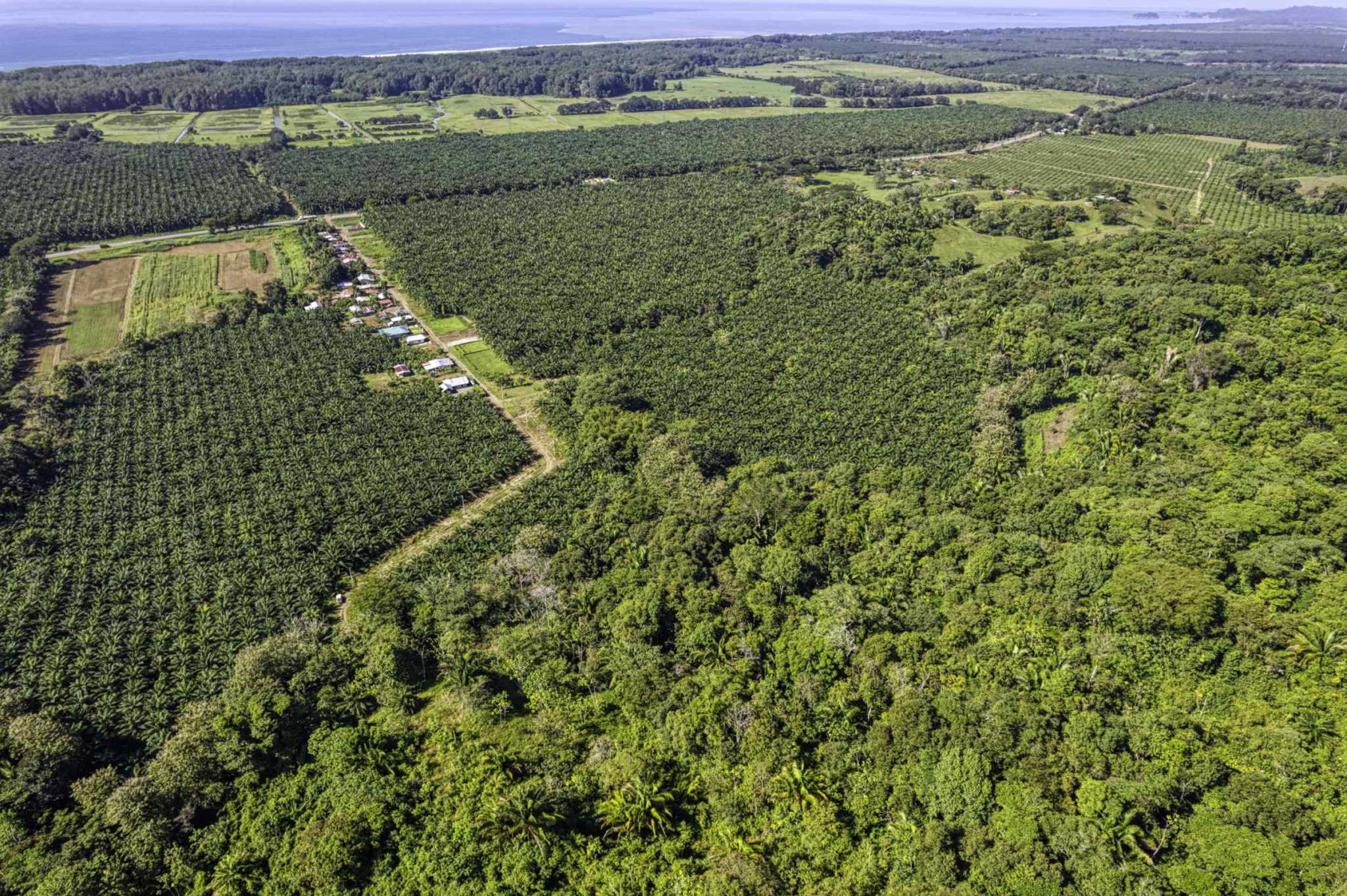 74944-5 Spectacular Ocean View 17+ Acre Building Lot with Legal Water in Dominical Costa Rica