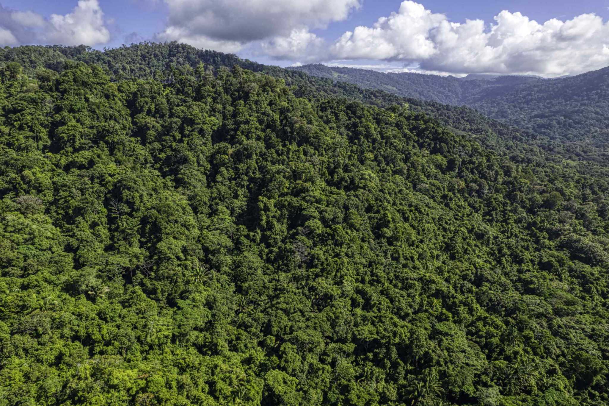 74944-8 Spectacular Ocean View 17+ Acre Building Lot with Legal Water in Dominical Costa Rica