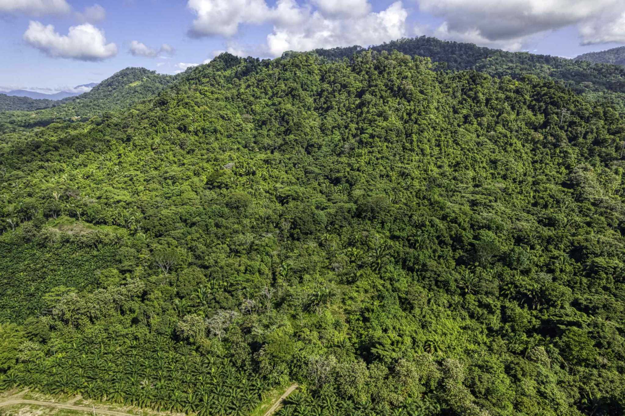 74944-10 Spectacular Ocean View 17+ Acre Building Lot with Legal Water in Dominical Costa Rica