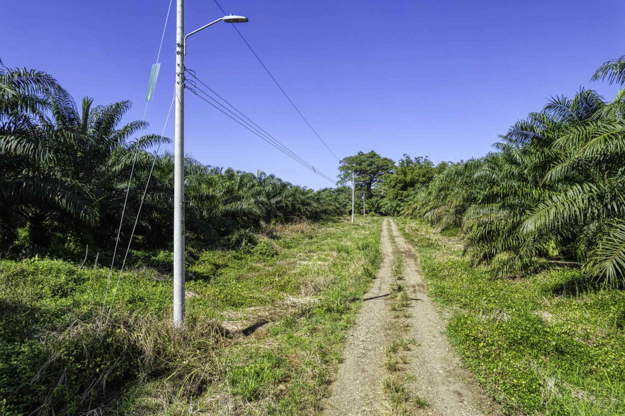 74944-12 Spectacular Ocean View 17+ Acre Building Lot with Legal Water in Dominical Costa Rica