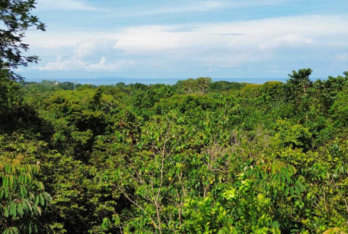 Spectacular Ocean View Over-One-Acre Building Lot with Legal Water in Ojochal Costa Rica