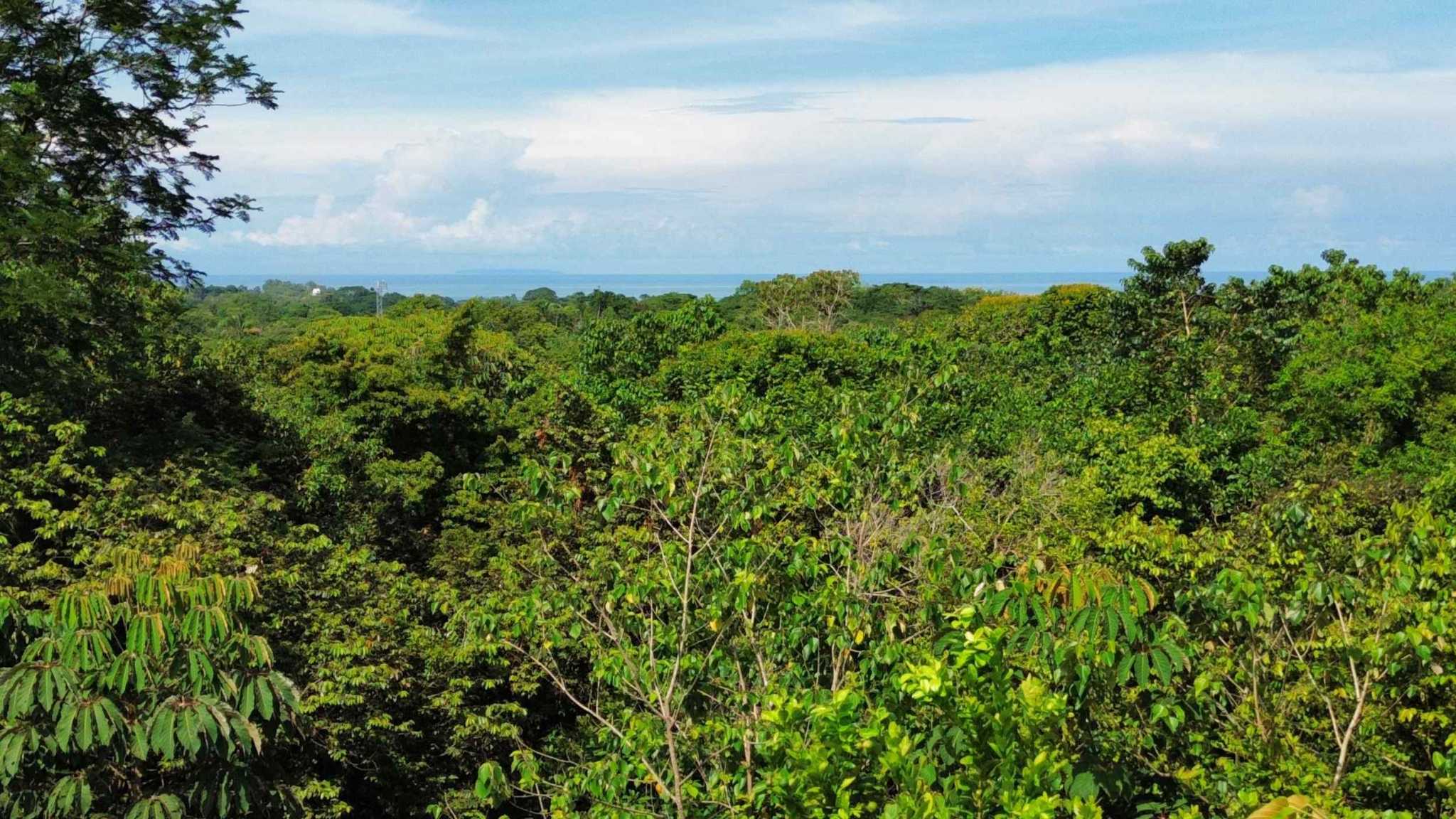 74948-1 Spectacular Ocean View Over-One-Acre Building Lot with Legal Water in Ojochal Costa Rica