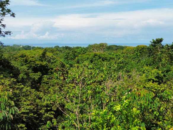 Spectacular Ocean View Over-One-Acre Building Lot with Legal Water in Ojochal Costa Rica