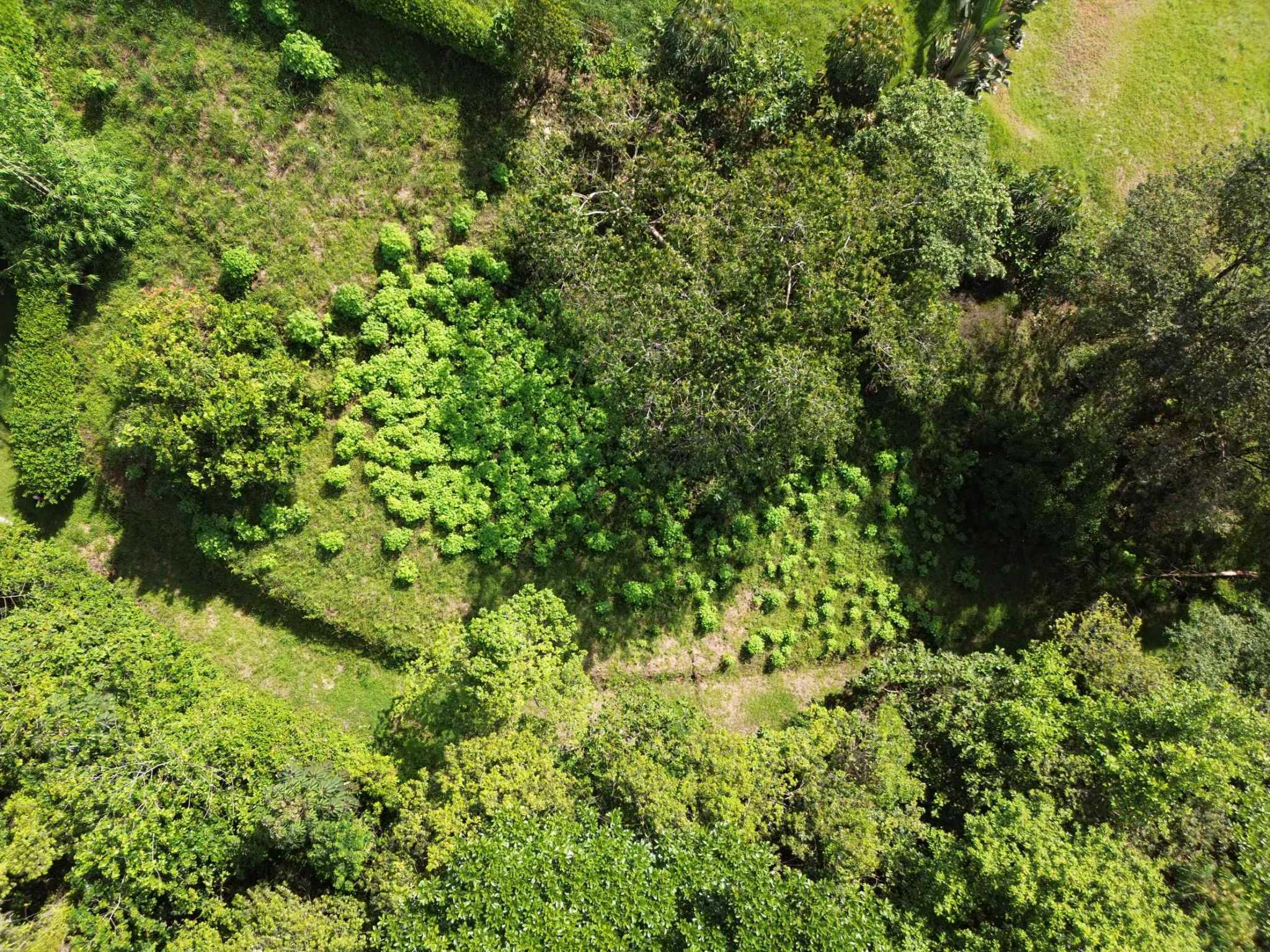 74948-3 Spectacular Ocean View Over-One-Acre Building Lot with Legal Water in Ojochal Costa Rica