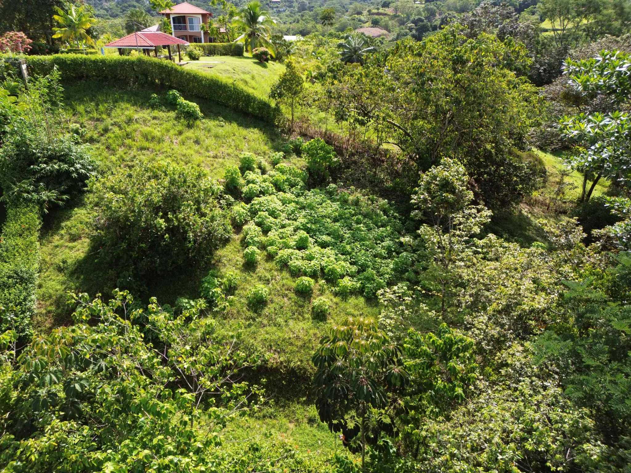 74948-4 Spectacular Ocean View Over-One-Acre Building Lot with Legal Water in Ojochal Costa Rica
