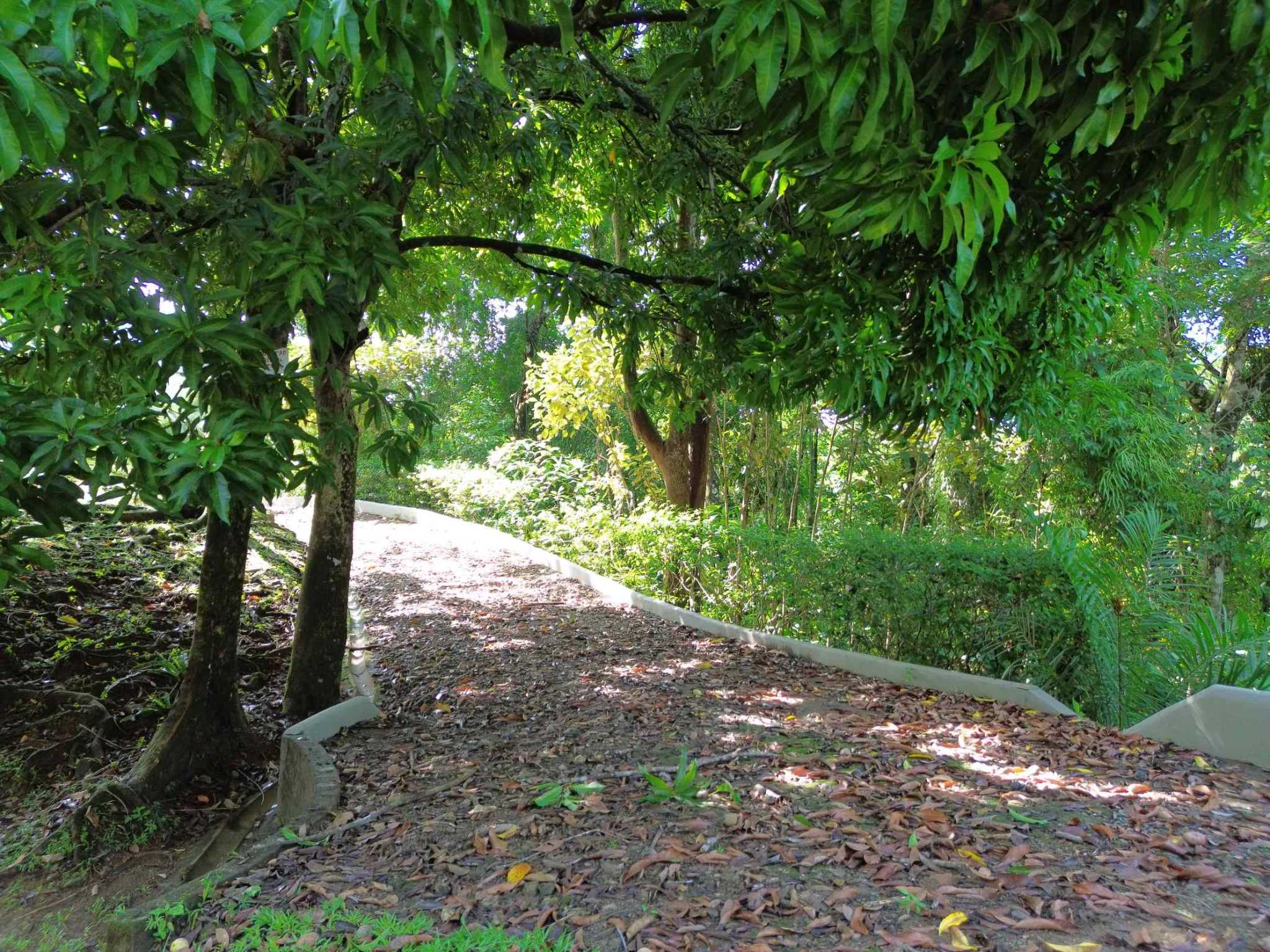 74948-18 Spectacular Ocean View Over-One-Acre Building Lot with Legal Water in Ojochal Costa Rica