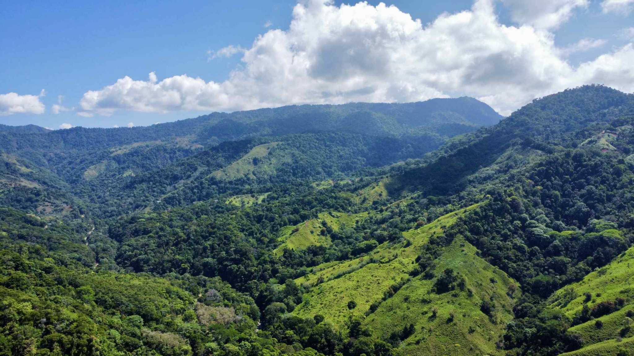 74950-19 Panoramic Ocean-View 2+ Acre Building Lot with Legal Water in Uvita Costa Rica