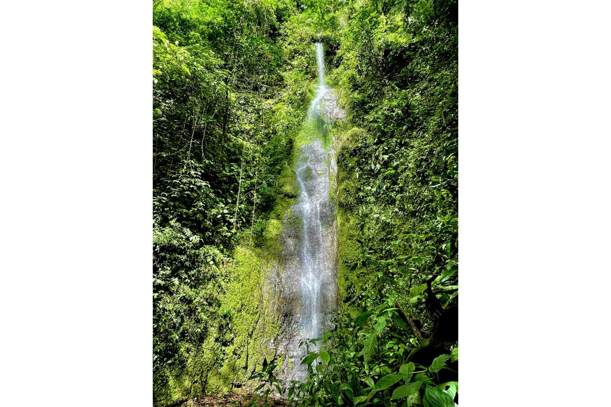 74954-3 Breathtaking Wildlife-Rich Building Lot with Mountain and Ocean Views in Ojochal Costa Rica