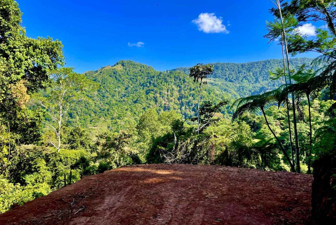Wildlife-Rich Building Lot with Mountain and Ocean Views, photo 10 of 20