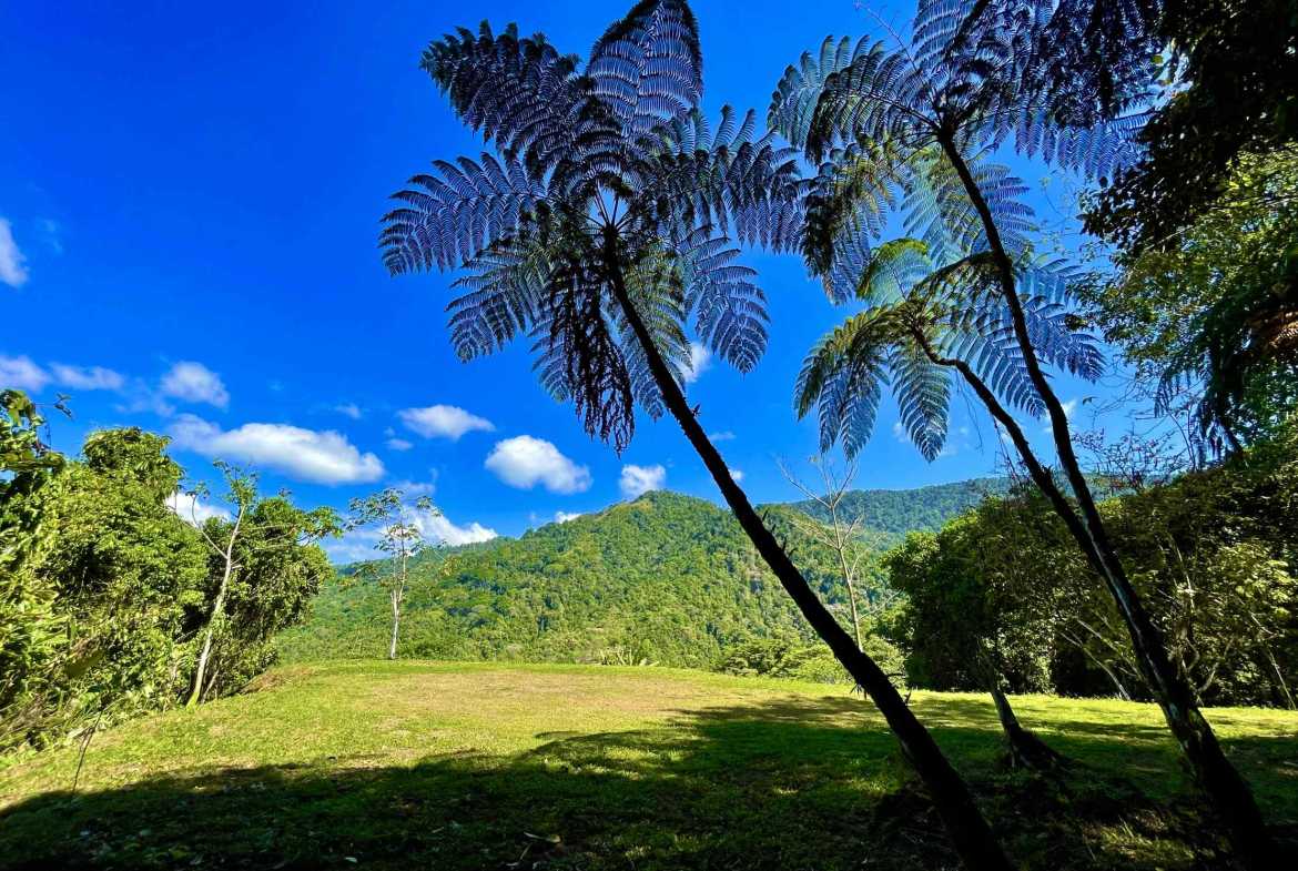 Breathtaking Wildlife-Rich Building Lot with Mountain and Ocean Views in Ojochal Costa Rica
