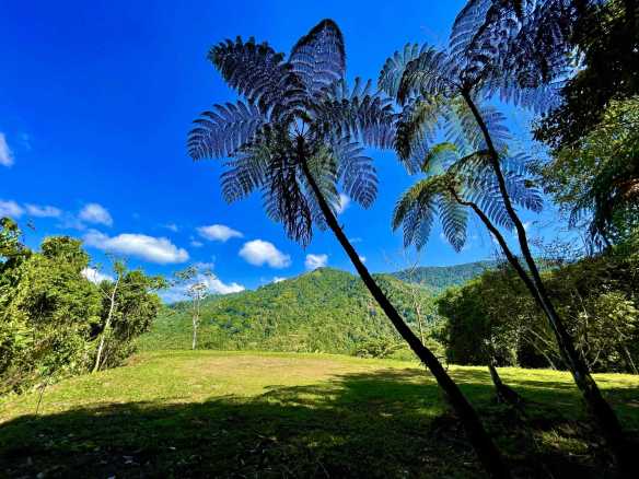 Breathtaking Wildlife-Rich Building Lot with Mountain and Ocean Views in Ojochal Costa Rica